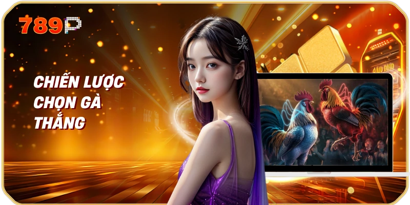 Hiểu Biết Về Đá Gà Và Các Giải Đấu